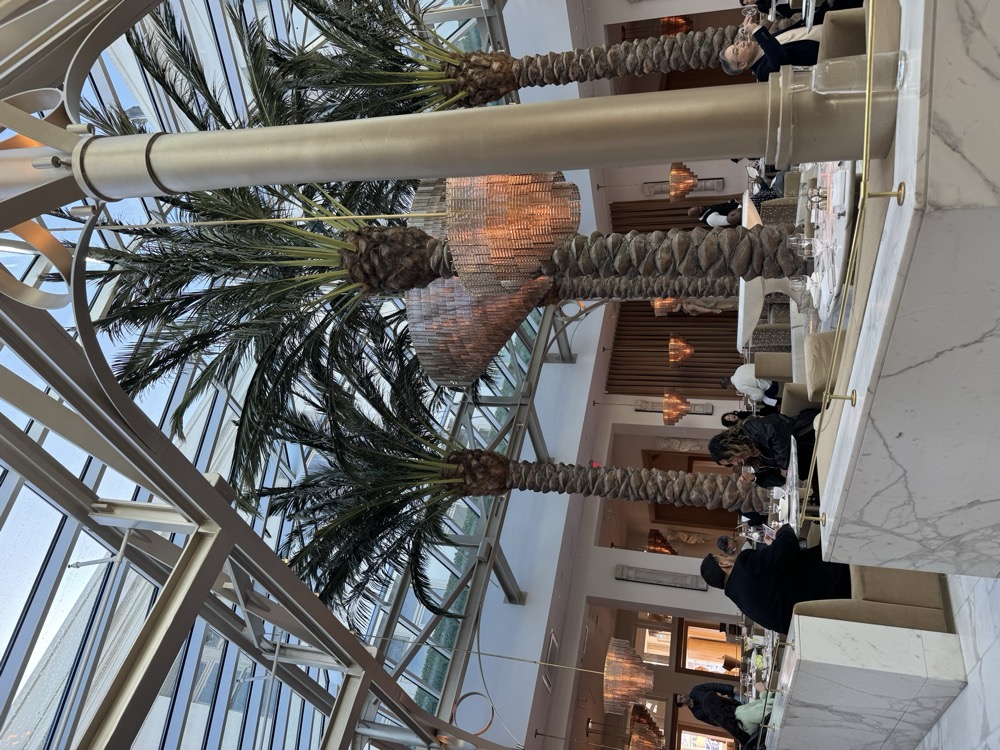 The Palm Court at RH in Mission Bay